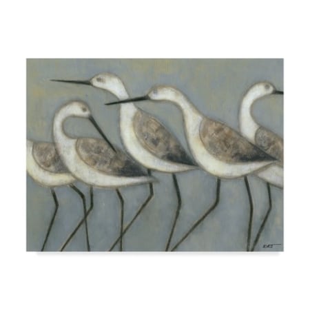 Norman Wyatt 'Shore Birds I' Canvas Art,18x24
